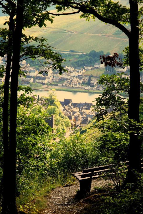 첼 안 데어 모젤 Mosel Panorama 아파트 외부 사진