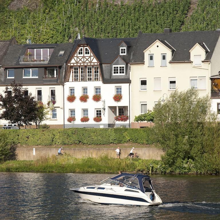 첼 안 데어 모젤 Mosel Panorama 아파트 외부 사진