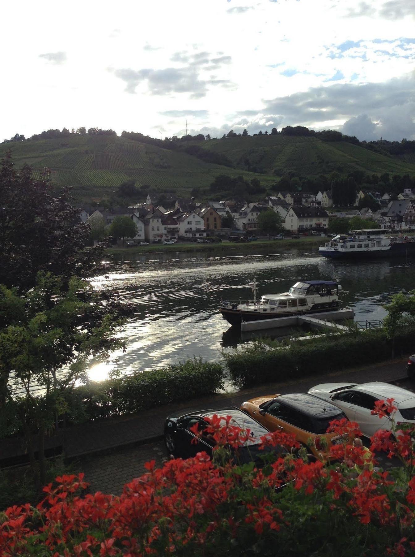 첼 안 데어 모젤 Mosel Panorama 아파트 외부 사진