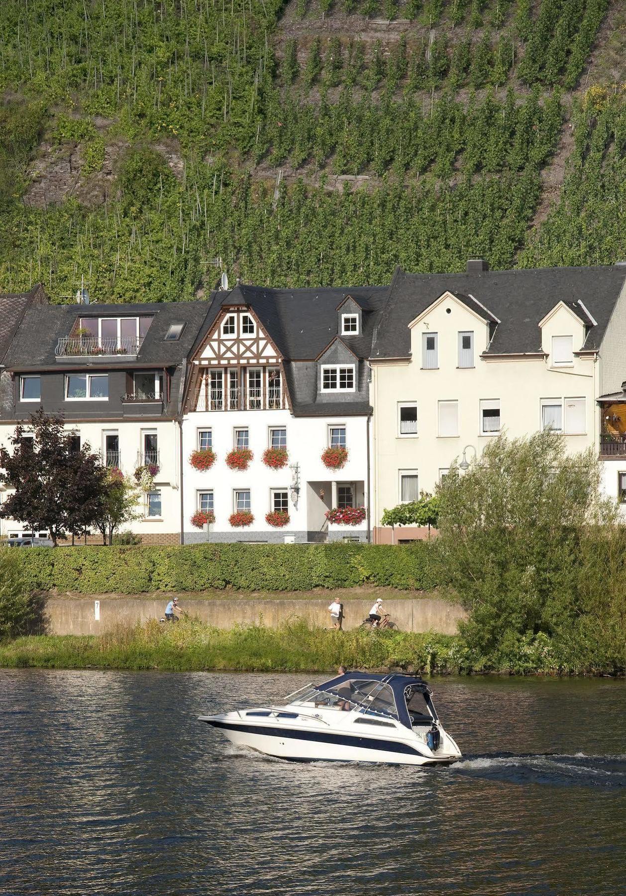 첼 안 데어 모젤 Mosel Panorama 아파트 외부 사진