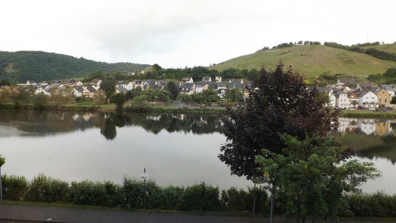첼 안 데어 모젤 Mosel Panorama 아파트 외부 사진